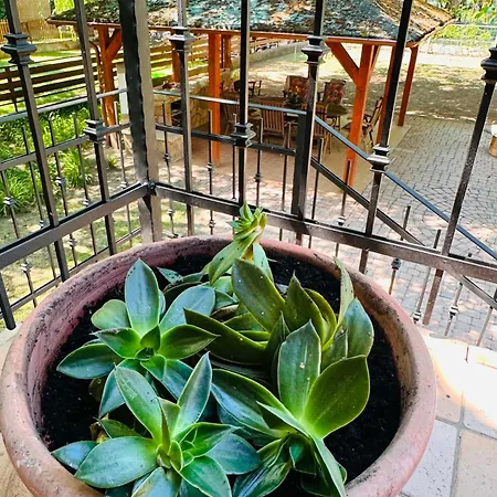 Guest house Capri Tiszaparti Vendeghaz